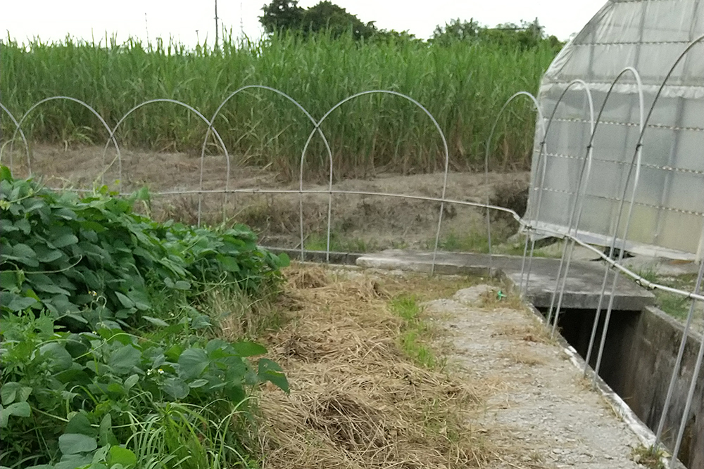 東側から北側に雨水排水路が通り、周辺の農地と隔離されています。